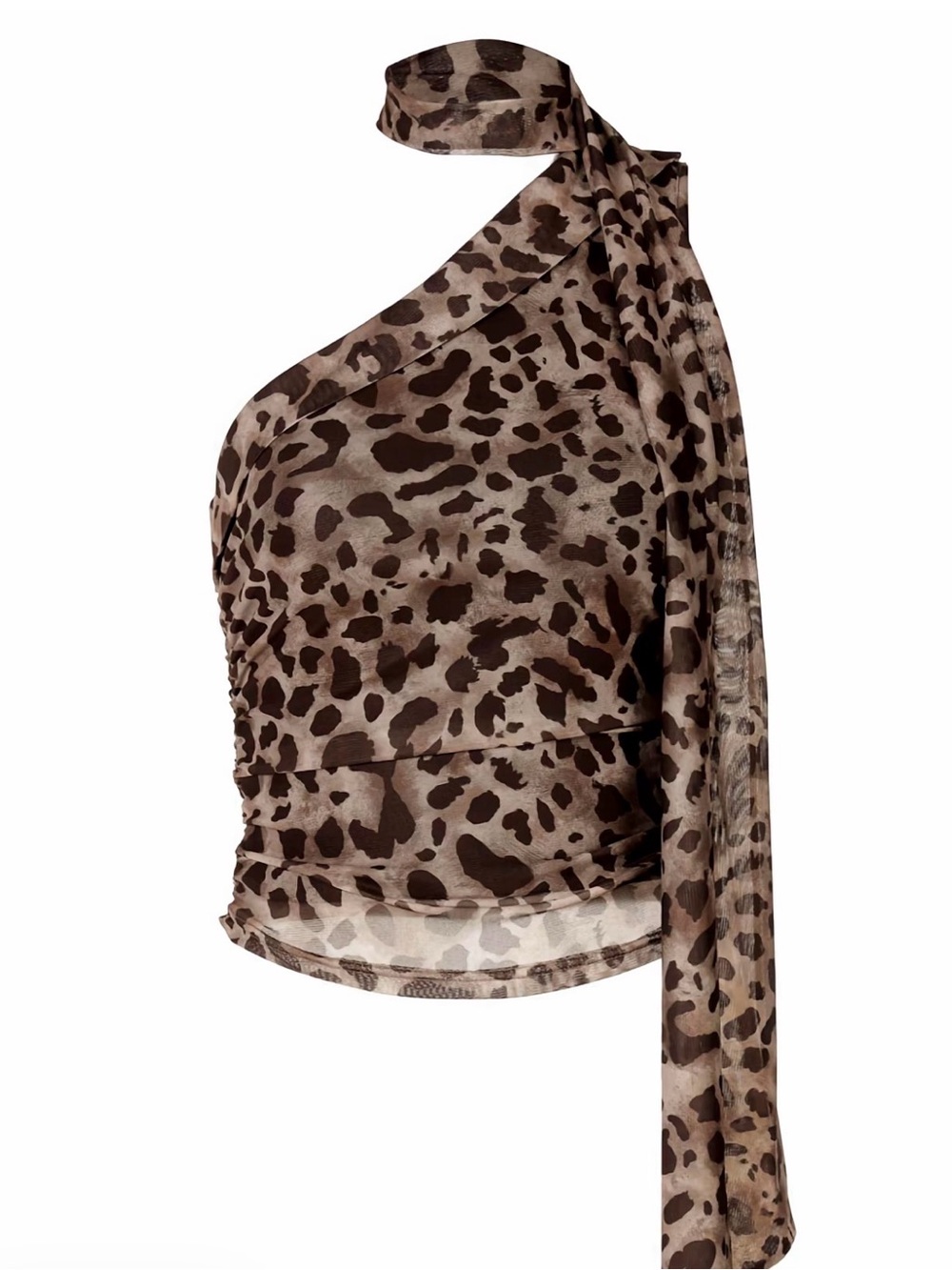 One-Shoulder Leopard Print Mesh Top in Brown